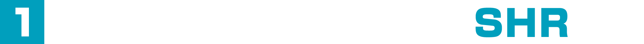 業界最先端のDPL方式